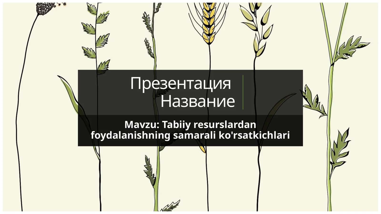 Tabiiy resurslardan foydalanishning samarali ko'rsatkichlari