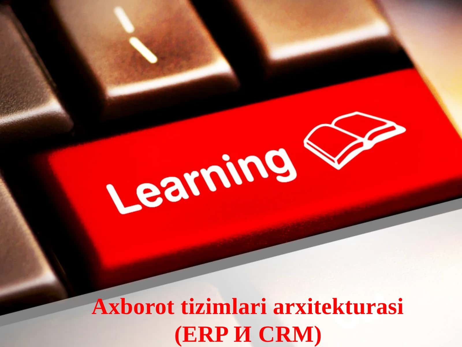Axborot tizimlari arxitekturasi (ERP И CRM)