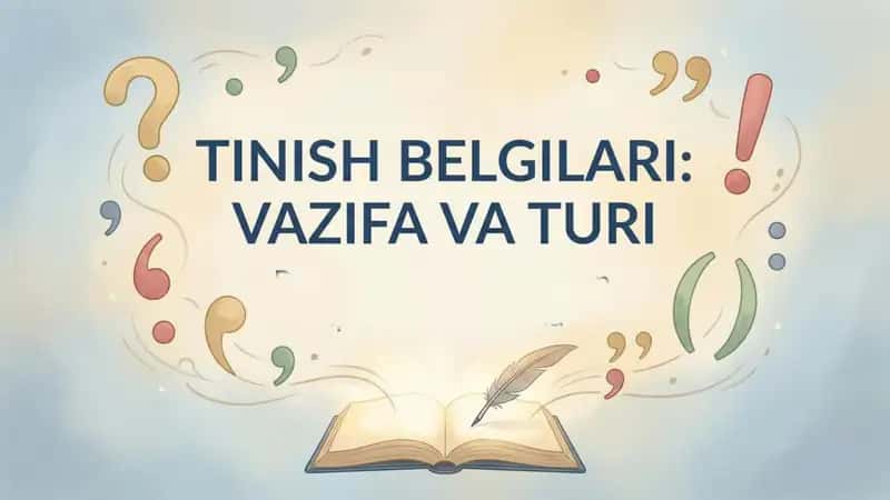 tinish belgilari turlari vazifalari