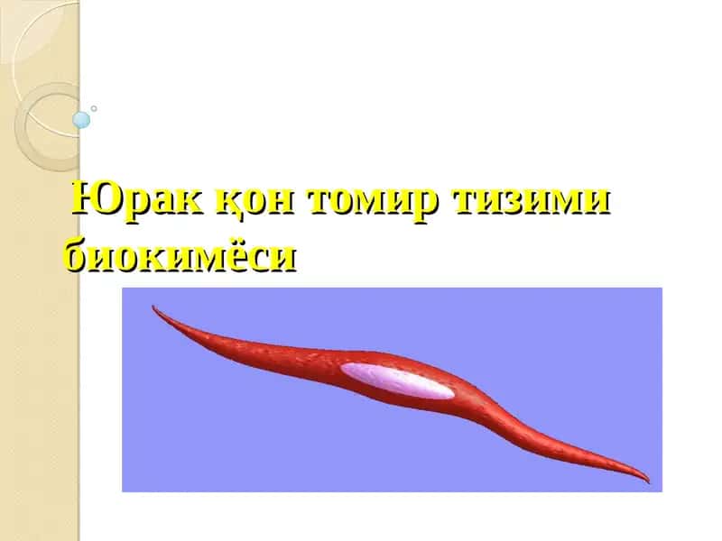 Юрак қон томир тизими биокимёси.