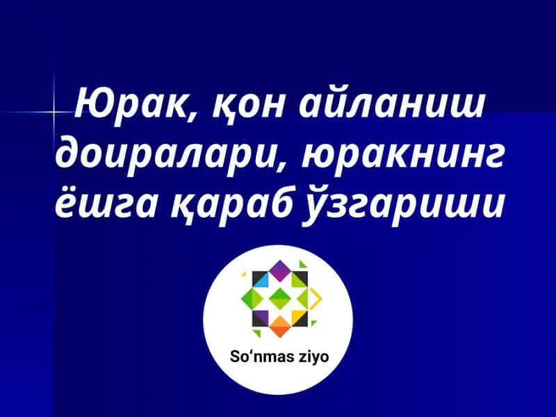 Юрак, қон айланиш доиралари, юракнинг ёшга қараб ўзгариши