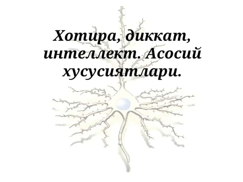 Хотира, диккат, интеллект. Асосий хусусиятлари.