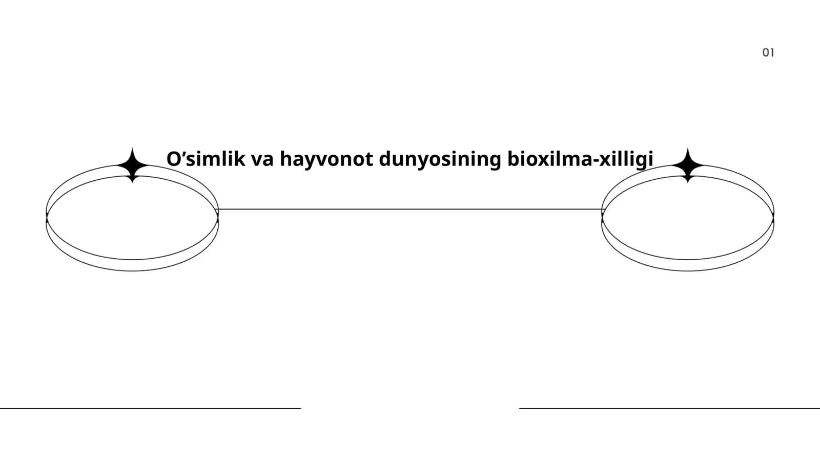 O’simlik va hayvonot dunyosining bioxilma-xilligi