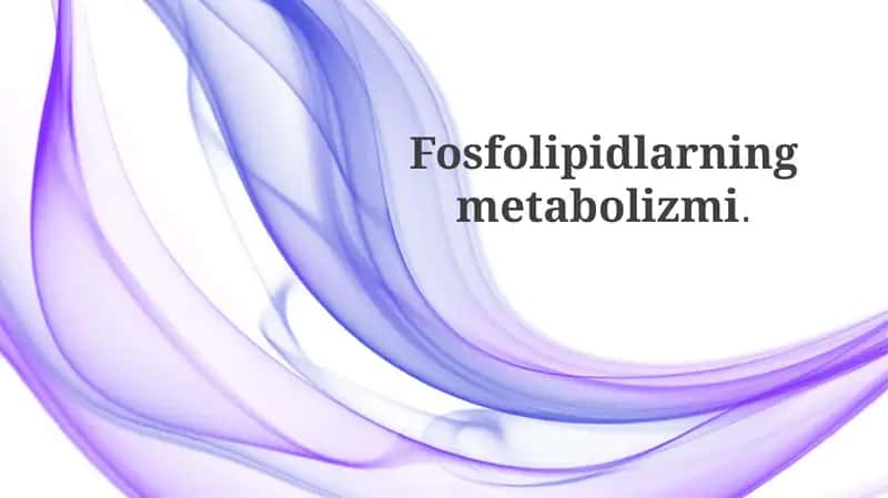 Fosfolipidlar: Tuzilishi va Asosiy Sinfllari