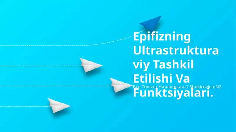 Epifizning Ultrastrukturaviy Tashkil Etilishi Va Funktsiyalari