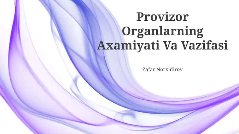 Provizor Organlarning Axamiyati Va Vazifasi