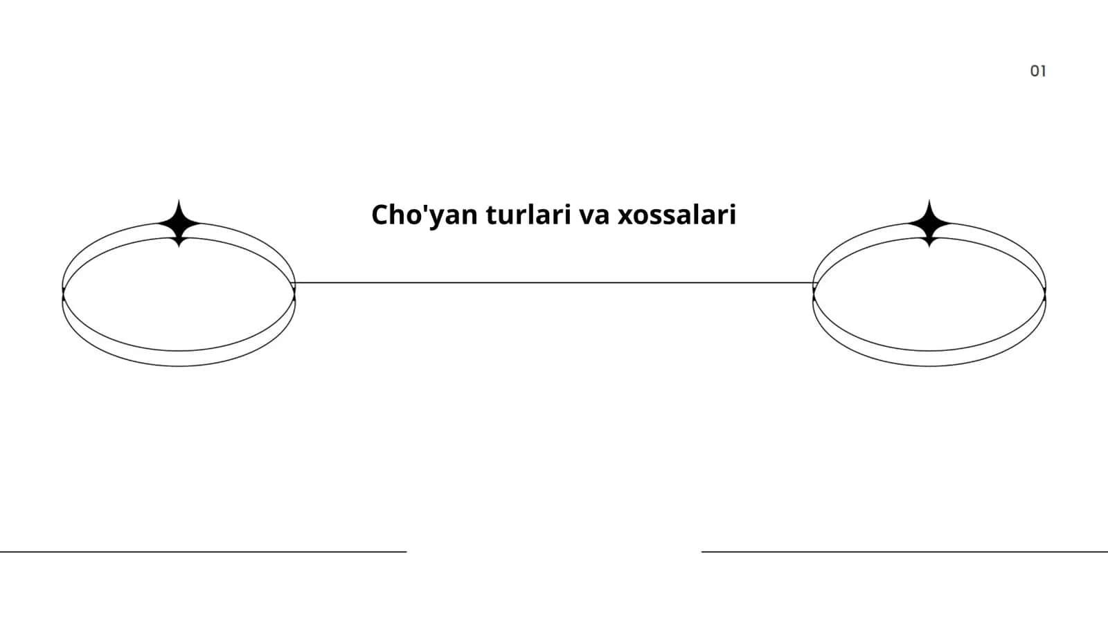 Cho'yan turlari va xossalari