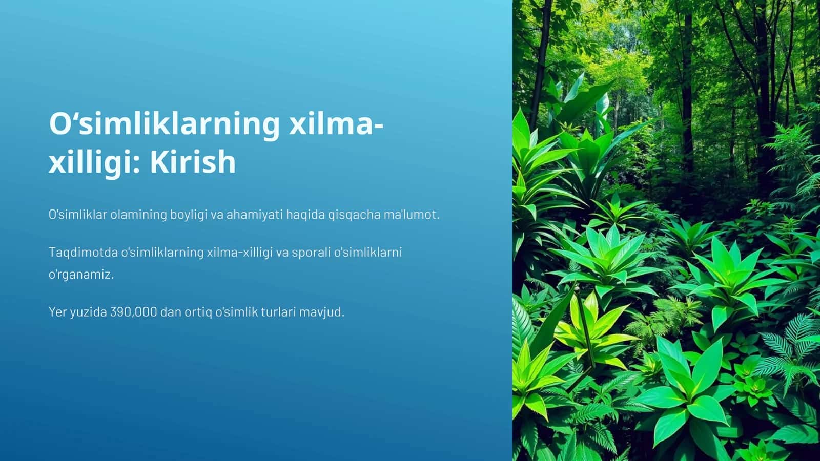 O‘simliklarning xilma-xilligi: Kirish