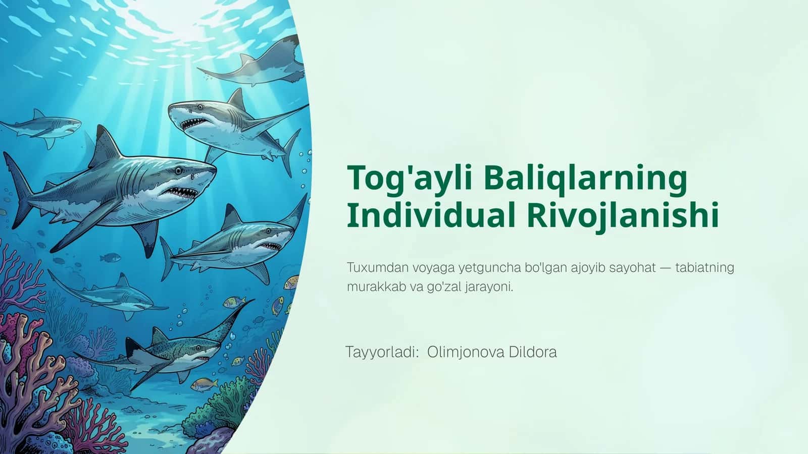 Tog'ayli Baliqlarning Individual Rivojlanishi