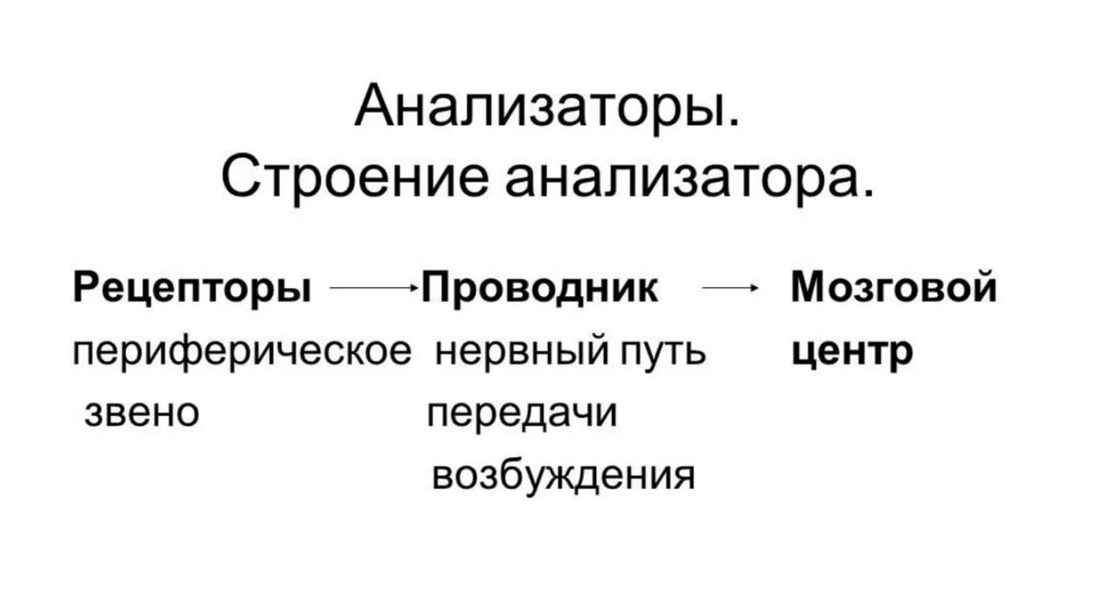Глазное яблоко