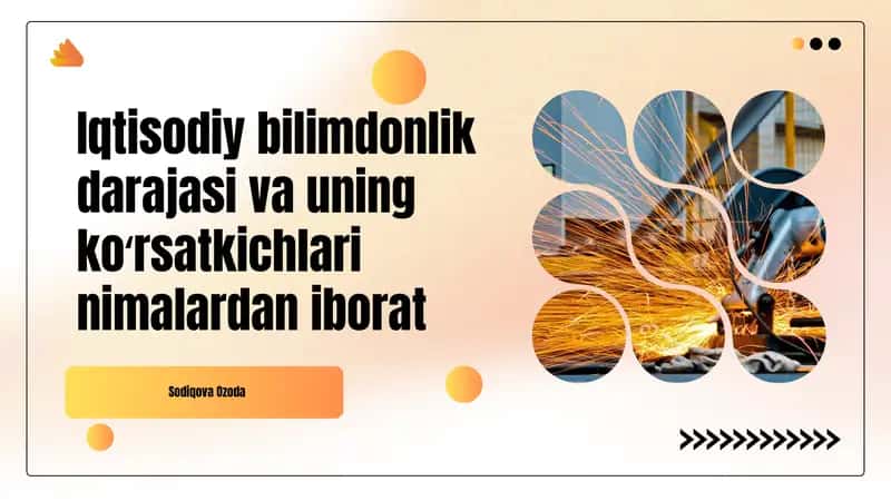 Iqtisodiy bilimdonlik darajasi va uning koʻrsatkichlari