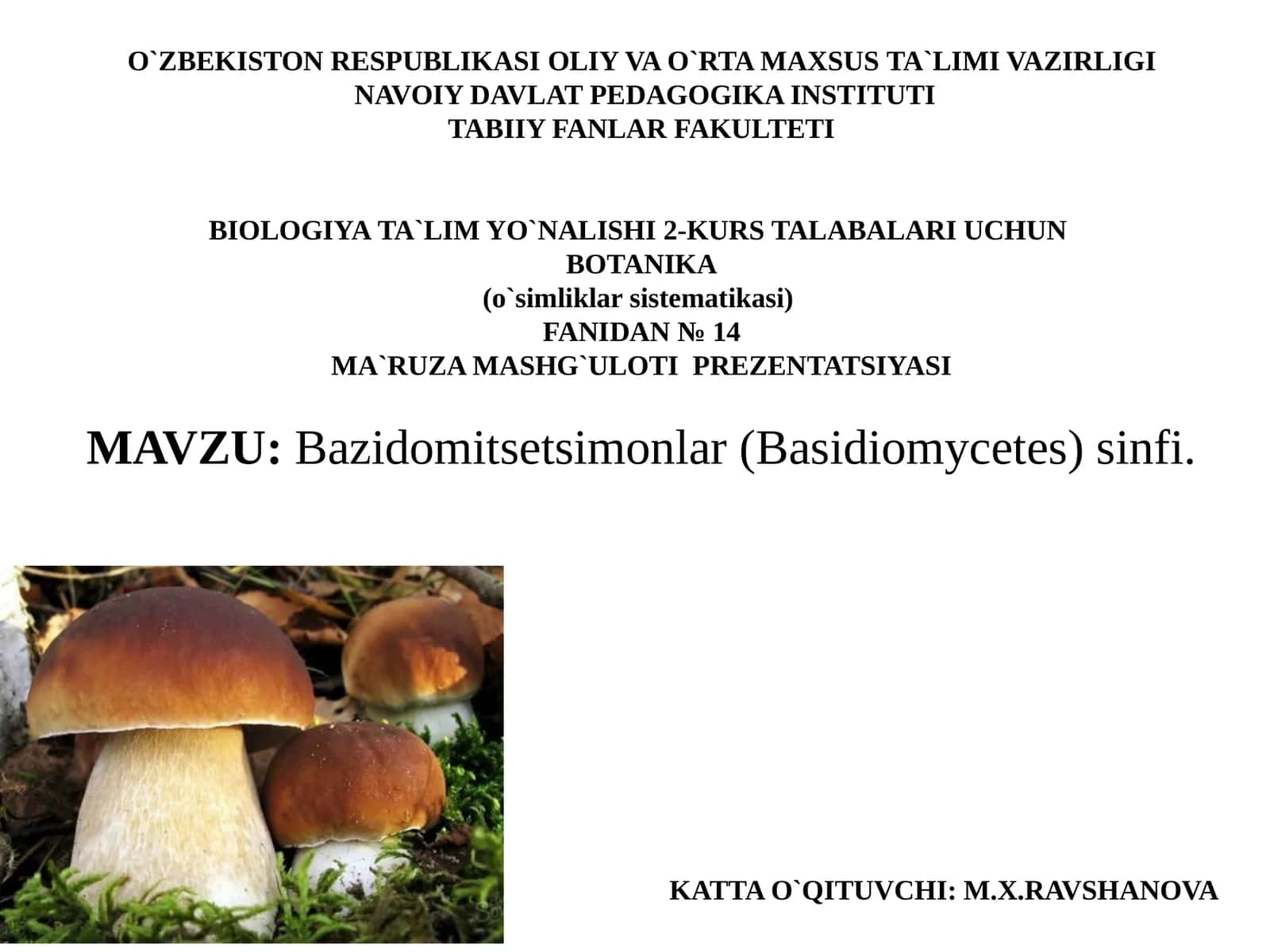 Bazidomitsetsimonlar(Basidiomycetes)sinfi