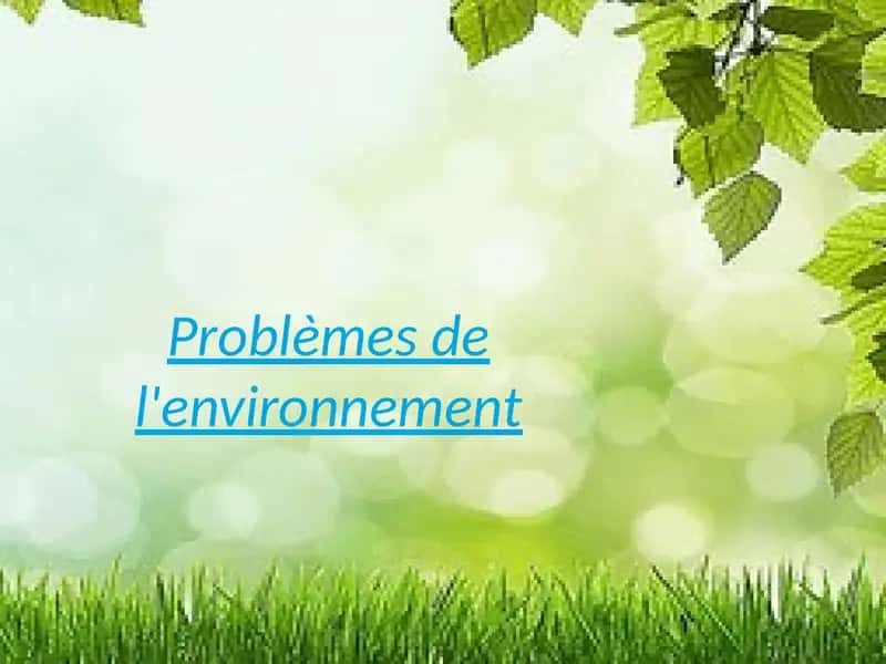 Problèmes de l'environnement