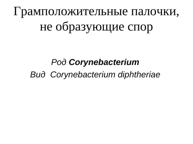 Corynebacterium diphtheriae