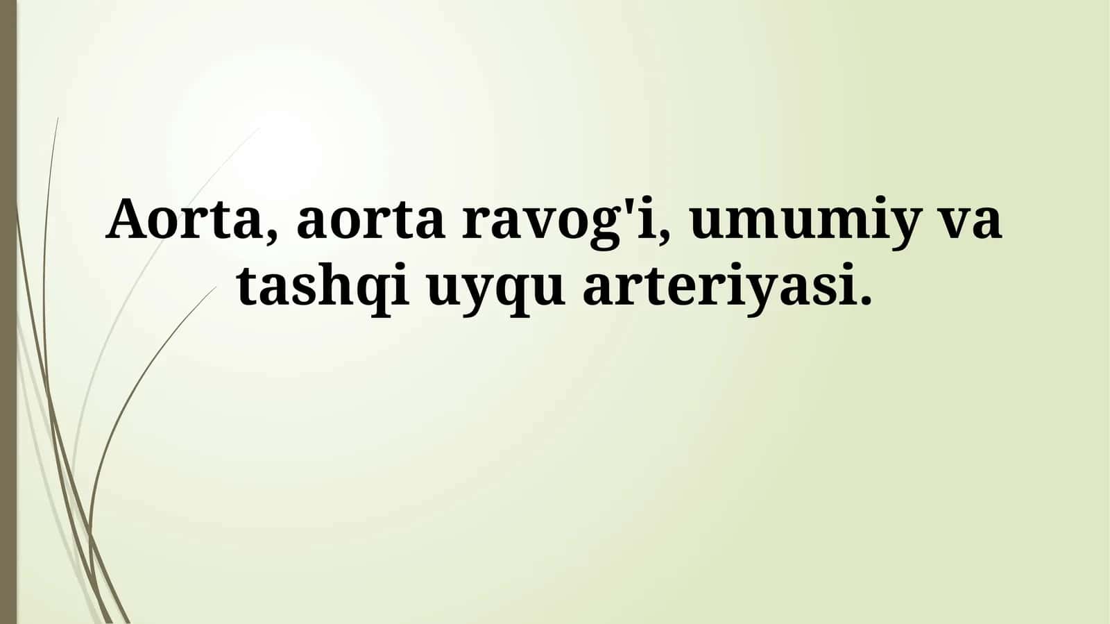 Aorta, aorta ravog'i, umumiy va tashqi uyquarteriyasi
