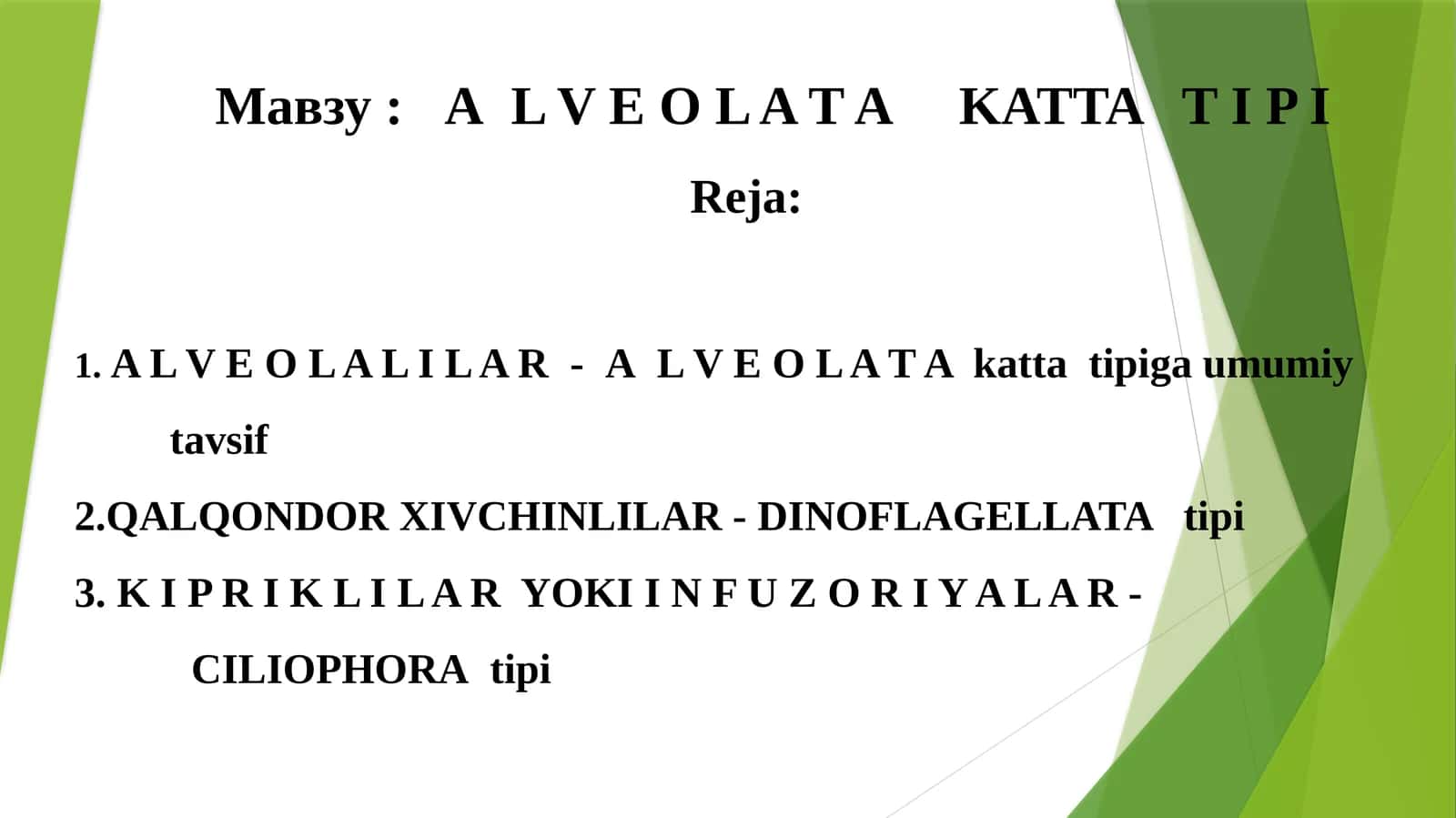 АL V E O L A T A KATTA T I P I