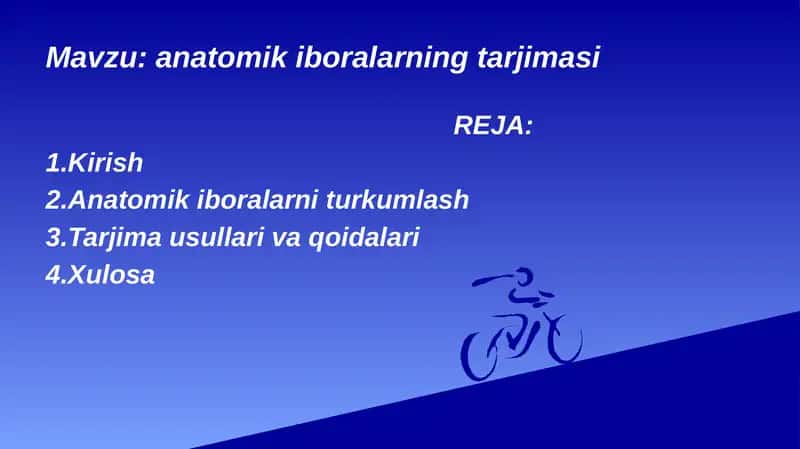 anatomik iboralarning tarjimasi