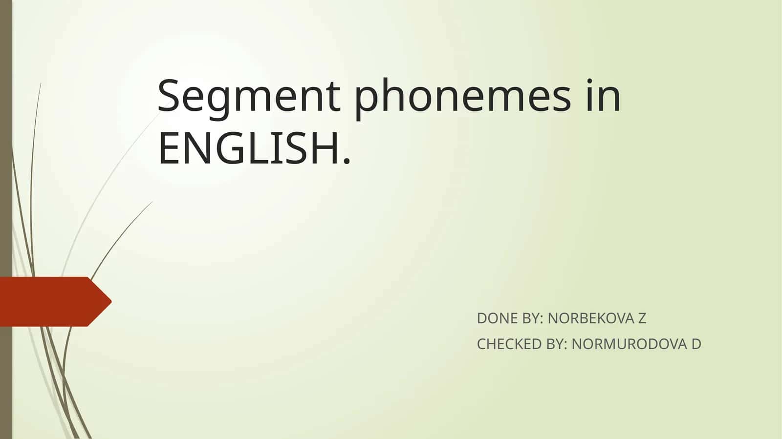 Segment phonemes in ENGLISH