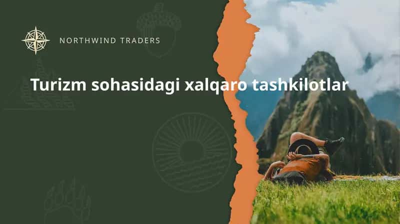Turizm Xalqaro tashkilotlari