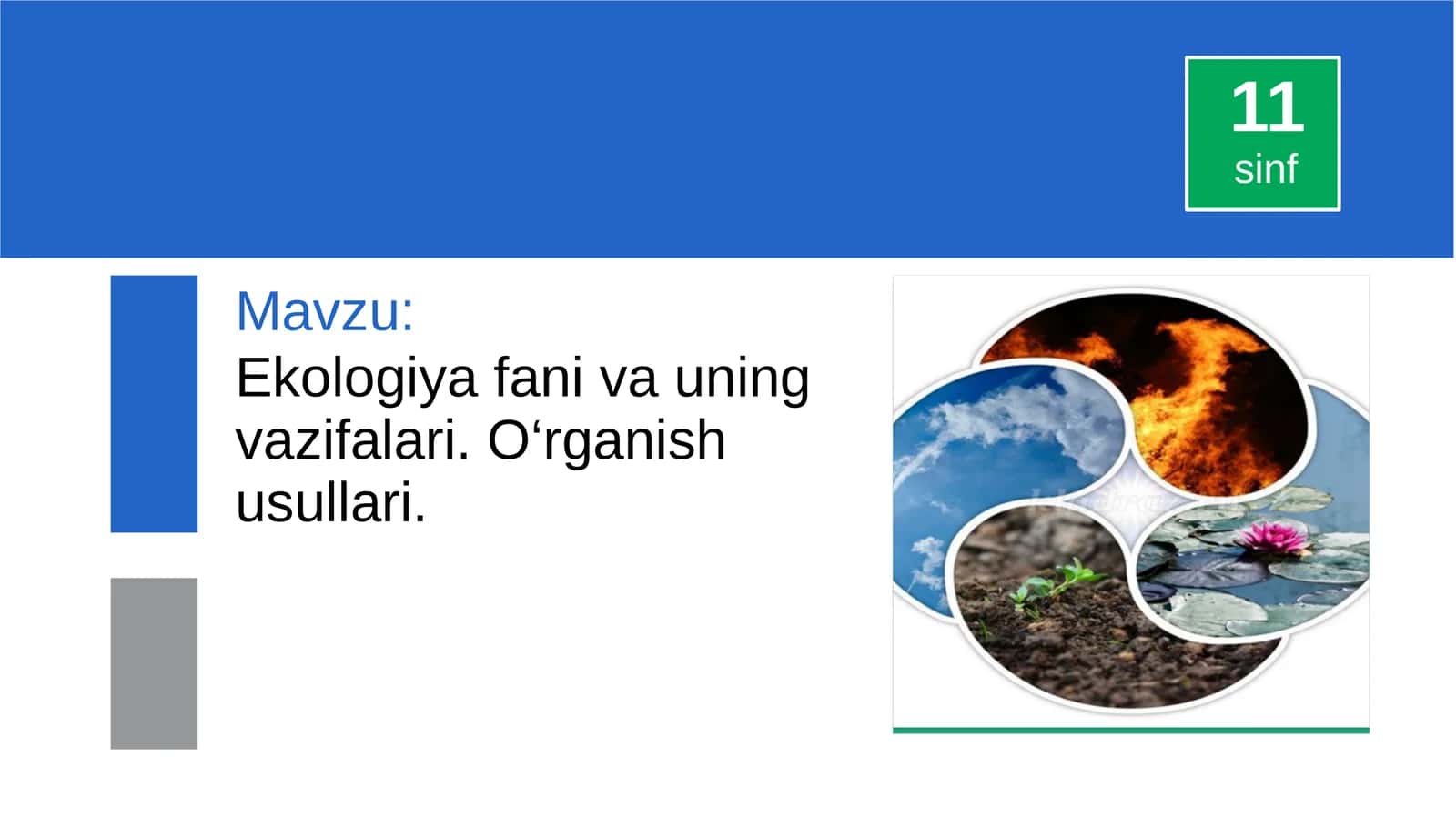 Ekologiya fani va uning vazifalari