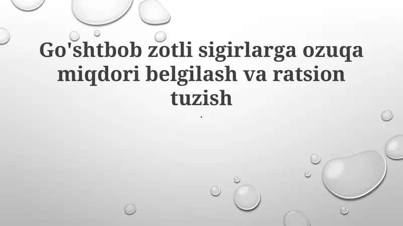 Go'shtbob zotli sigirlarga ozuqa miqdori belgilash va ratsion tuzish