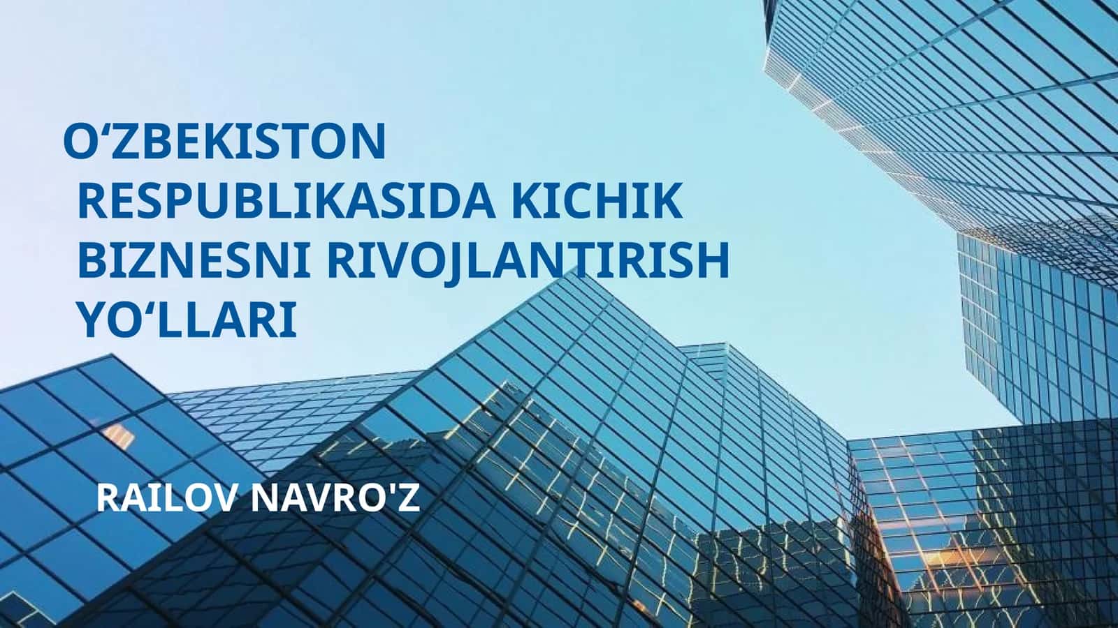O‘ZBEKISTON RESPUBLIKASIDA KICHIK BIZNESNI RIVOJLANTIRISH YO‘LLARI
