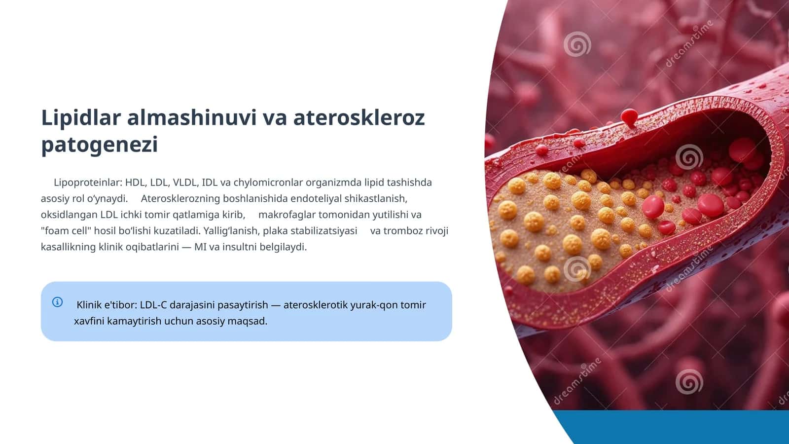 Gipolipidemik dori vositalarining klinik farmakologiyasi