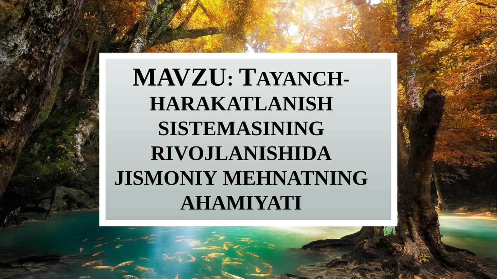 Tayanch-harakatlanish sistemasining rivojlanishida jismoniy mehnatning ahamiyati