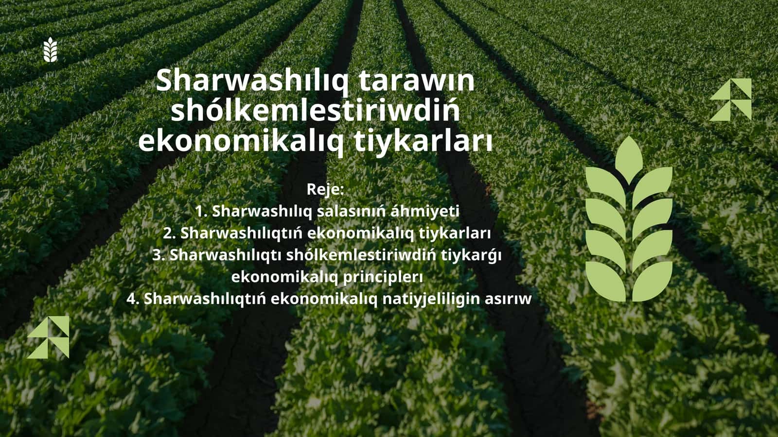 Sharwashılıq tarawın shólkemlestiriwdiń ekonomikalıq tiykarları