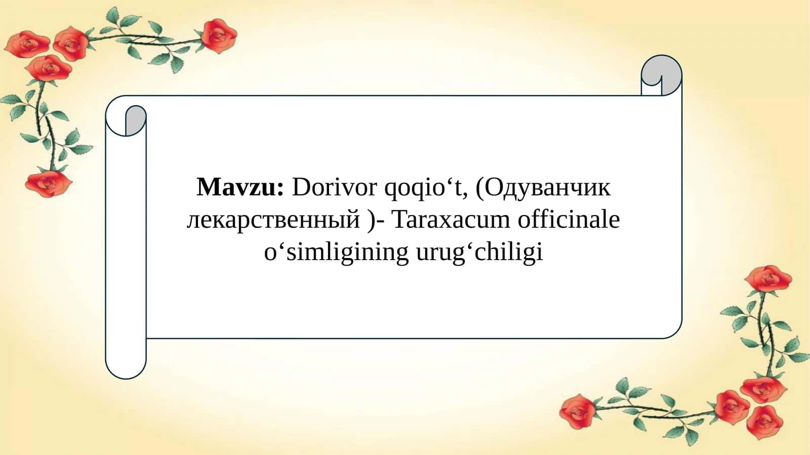 Dorivor qoqioʻt, (Одуванчик лекарственный )- Taraxacum officinale oʻsimligining urugʻchiligi