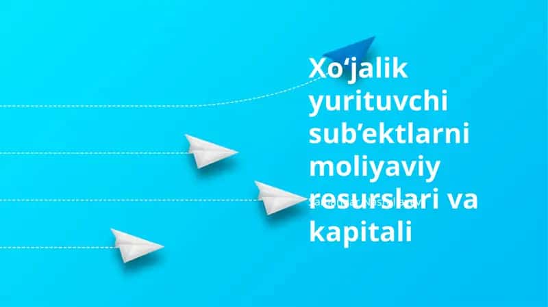 Iqtisodiy Subyektlarning Moliyaviy Resurslari