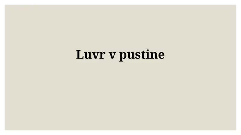 Лувр vpustine