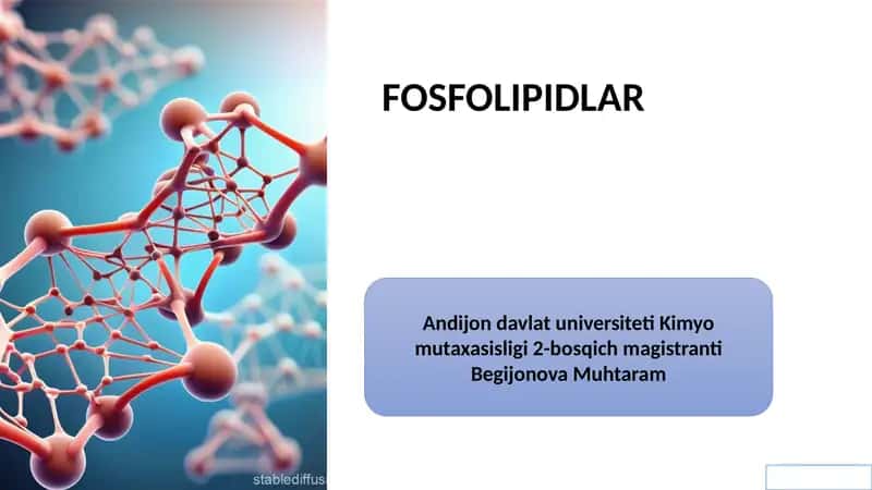 Fosfolipidlar