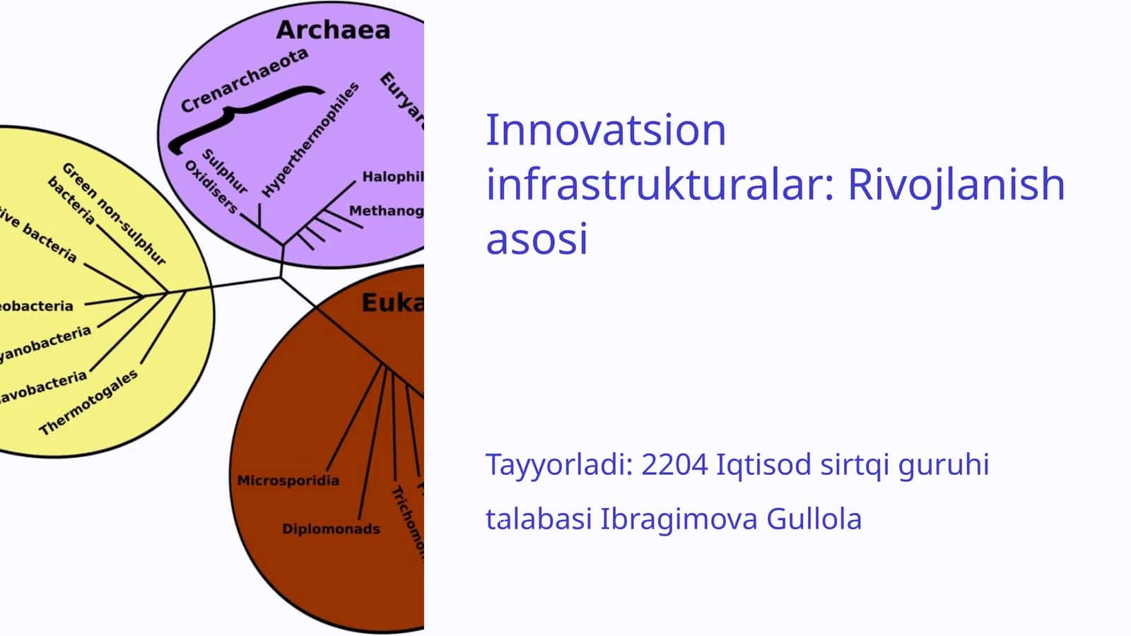 Innovatsion infrastrukturasi: Rivojlanish asosi