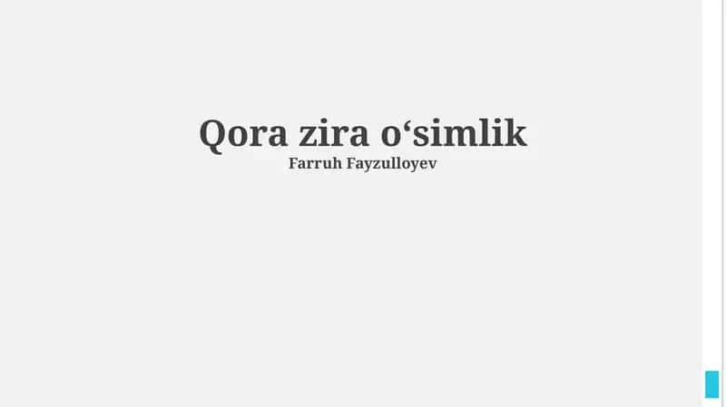 Qora zira oʻsimlik
