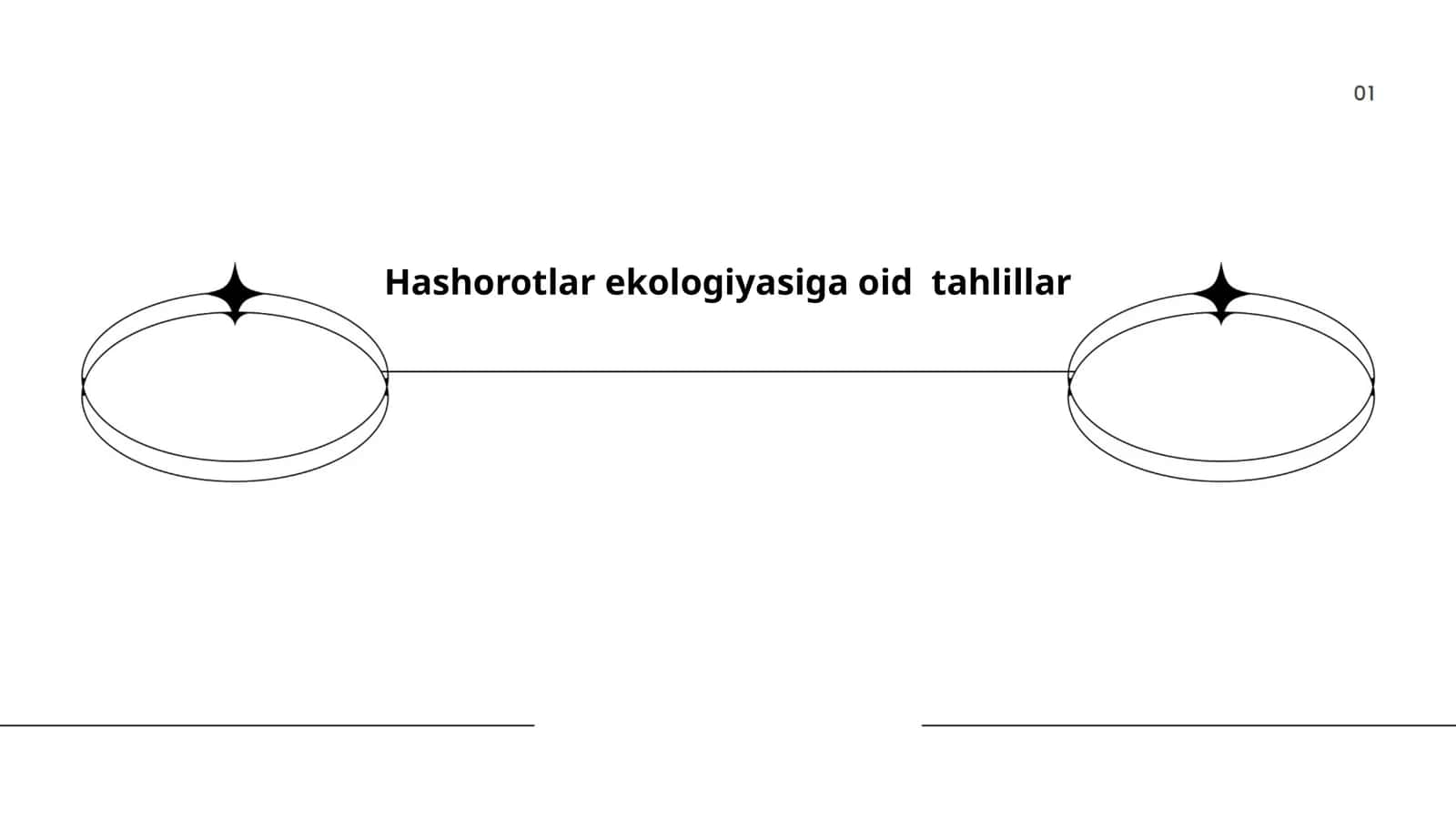Hashorotlar ekologiyasiga oid tahlillar