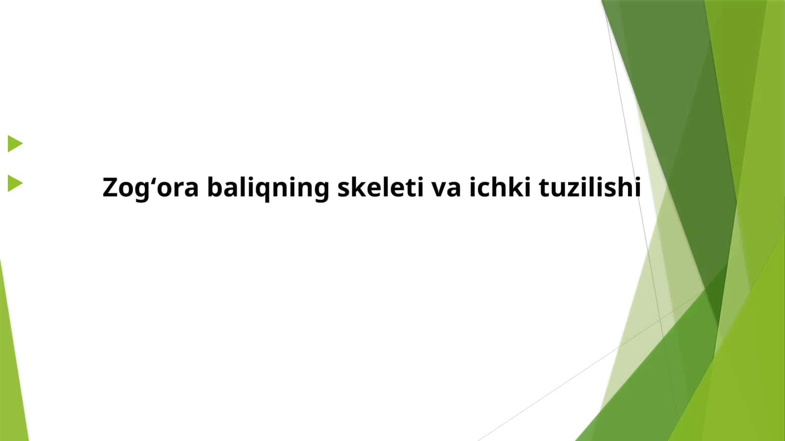 Zogʻorabaliqnings keleti va ichki tuzilishi