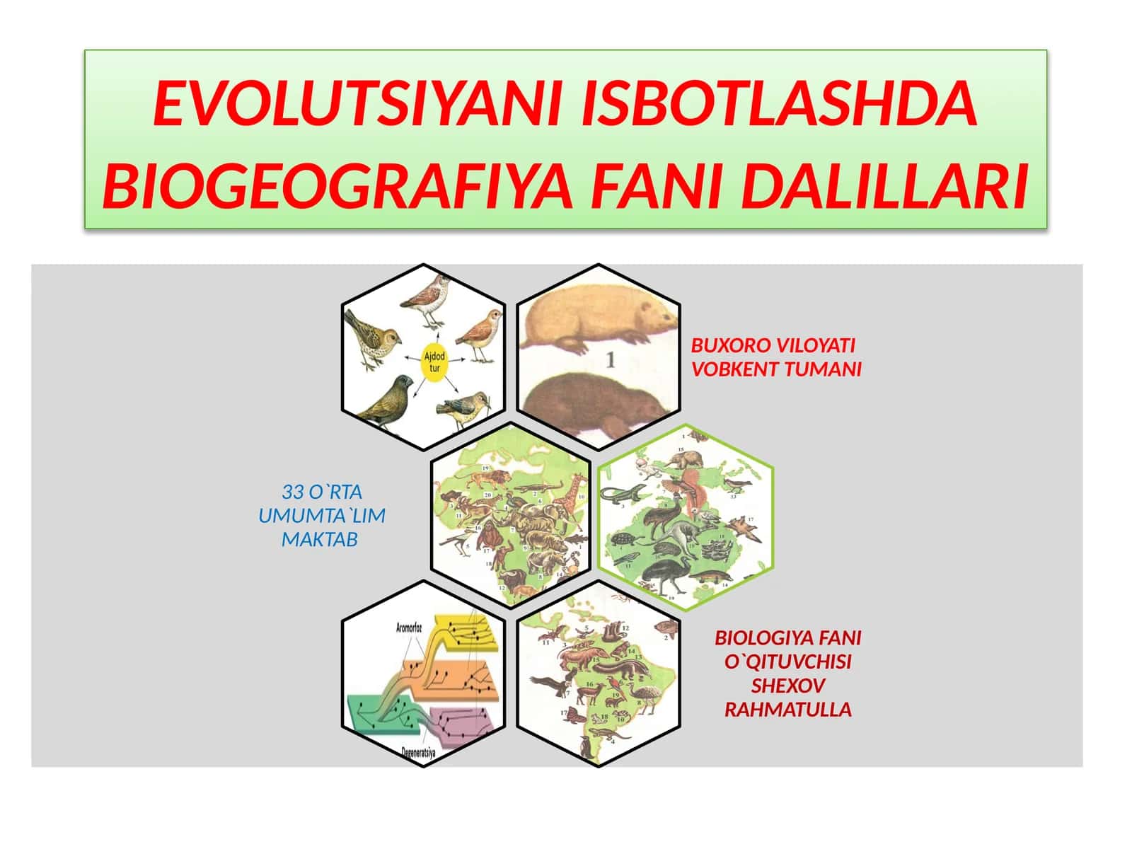 EVOLUTSIYANI ISBOTLASHDABIOGEOGRAFIYA FANI DALILLARI