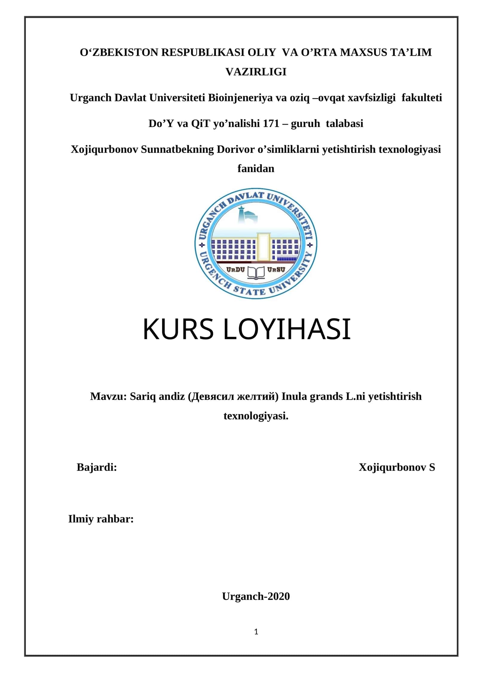 Sariq andiz (Девясил желтий) Inula grands L.ni yetishtirish texnologiyasi