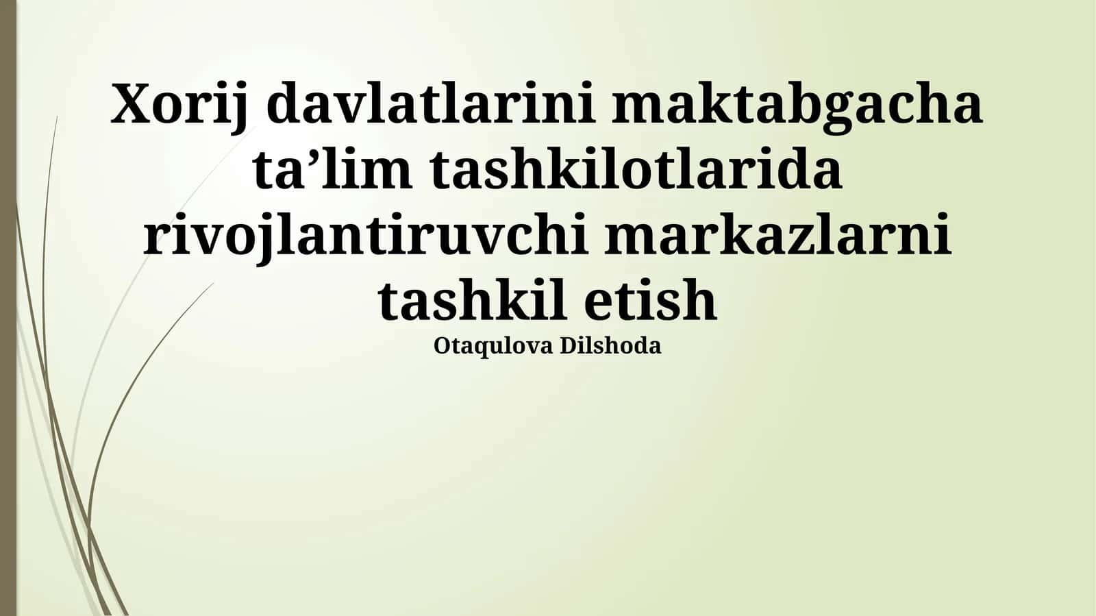 Xorij davlatlarini maktabgacha taʼlim tashkilotlarida rivojlantiruvchi markazlarni tashkil etish