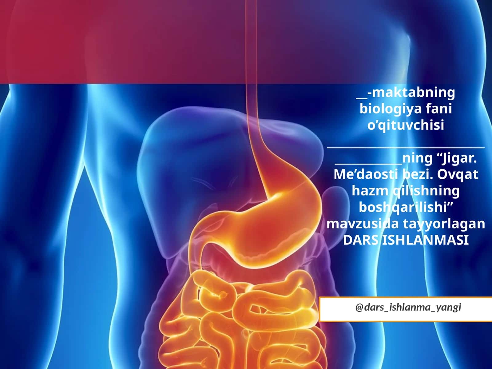 Jigar.Me’da ostibezi Ovqat hazm qilishning boshqarilishi