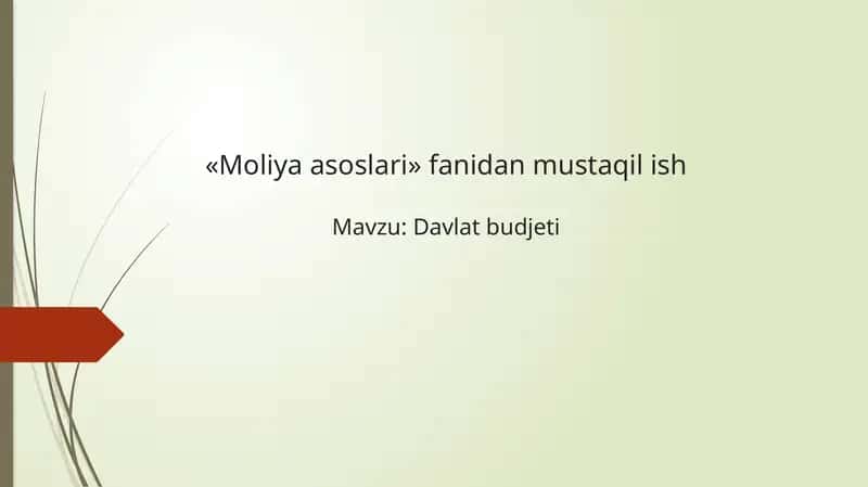 Davlat budjeti mavzusida mustaqil ish taqdimoti