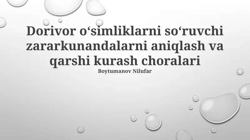 Dorivor o'simliklarni so'ruvchi zararkunandalarni aniqlash va qarshi kurash choralari