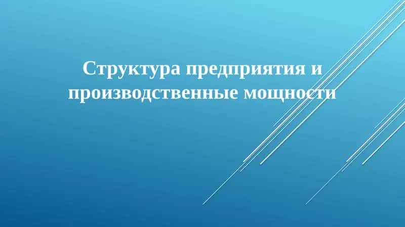 Организационная структура предприятия