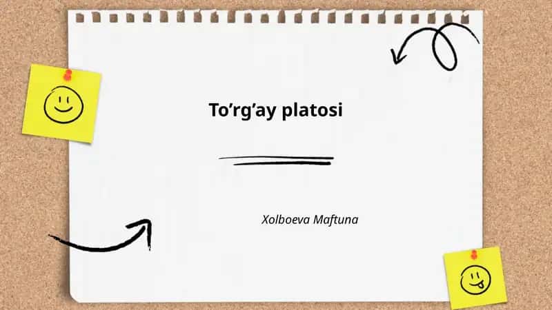 To’rg’ay platosi