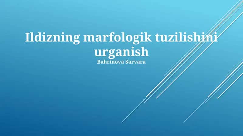 Ildizning marfologik tuzilishini urganish