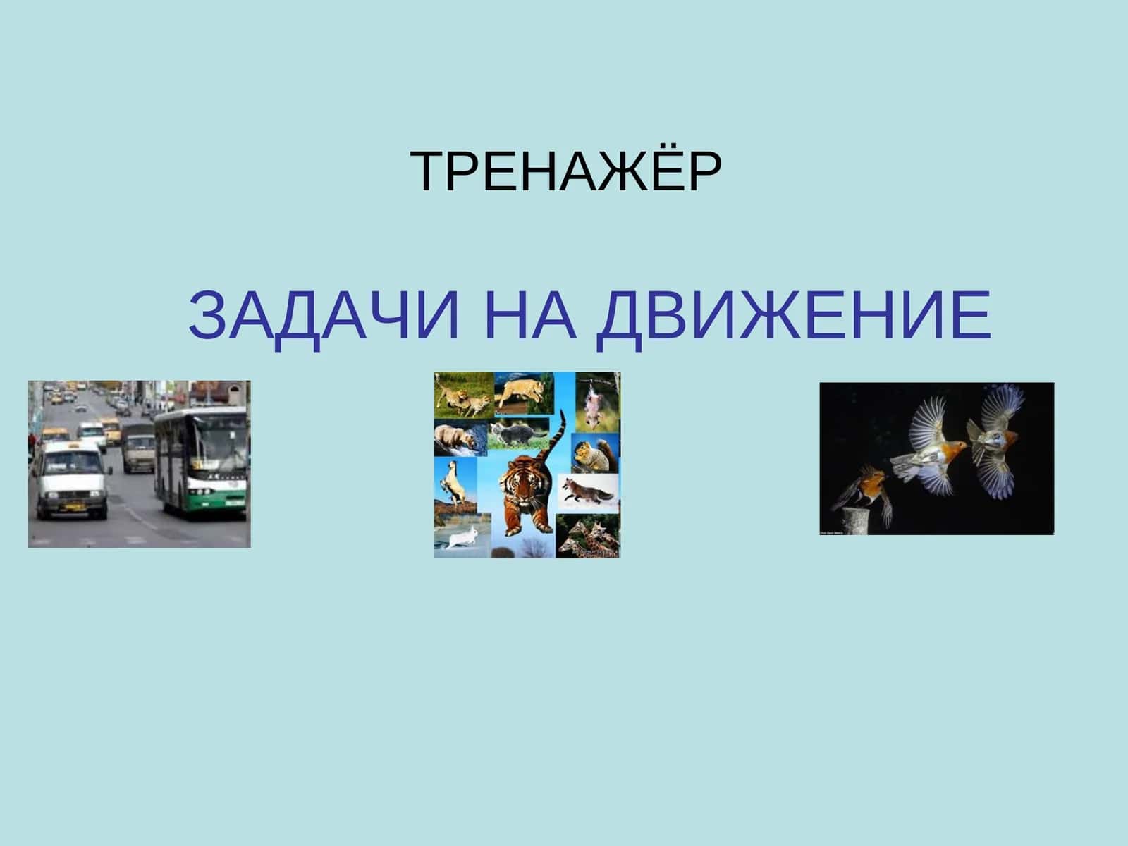 ТРЕНАЖЁР