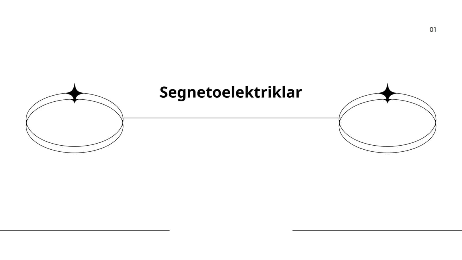 Segnetoelektriklar