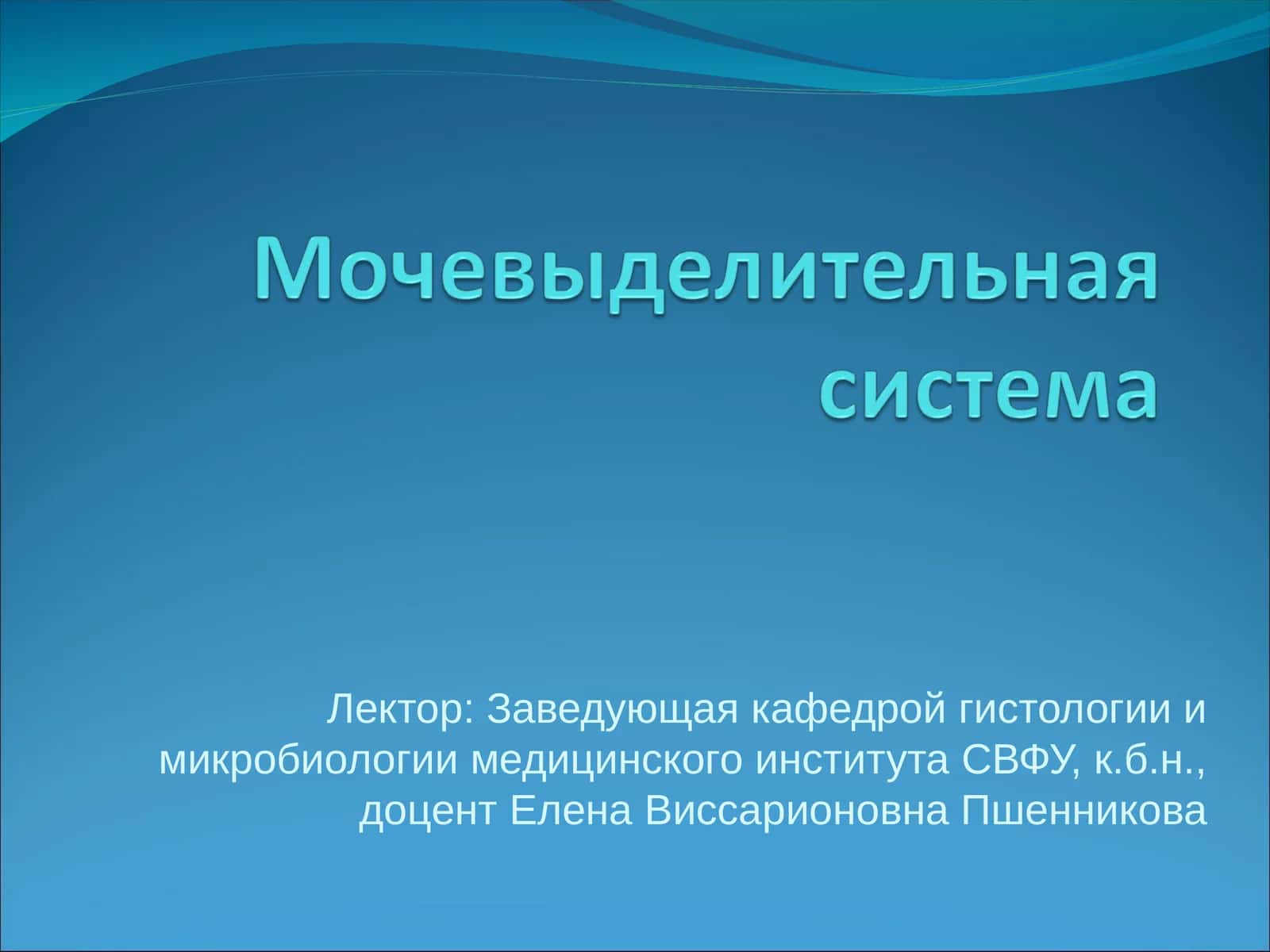 Мочевыделительная система