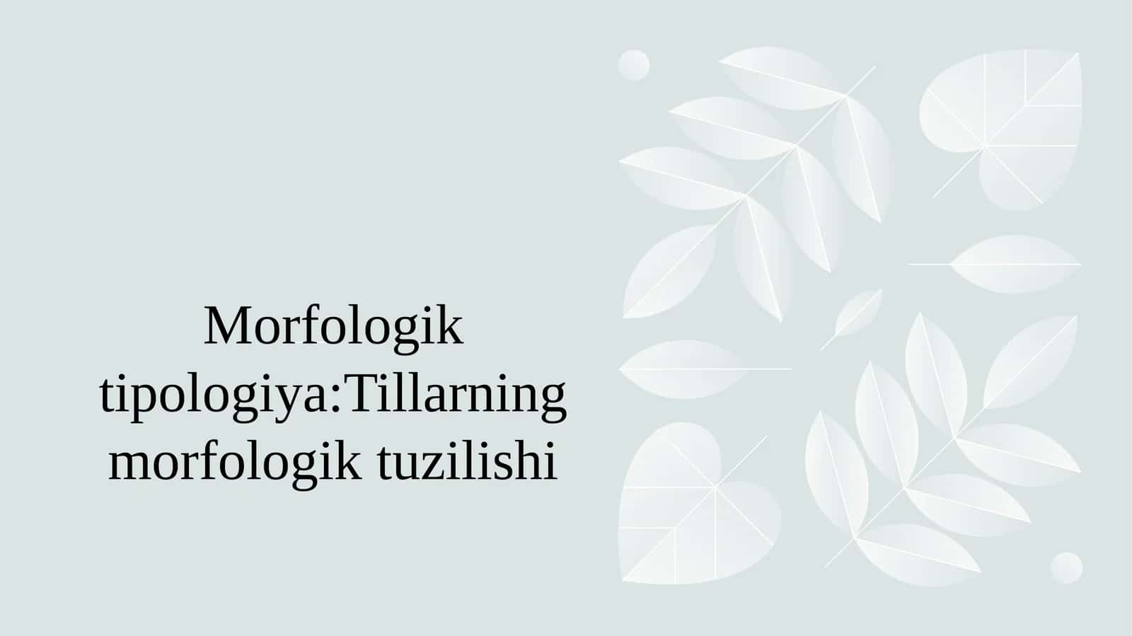 Morfologik tipologiya:Tillarning morfologik tuzilishi